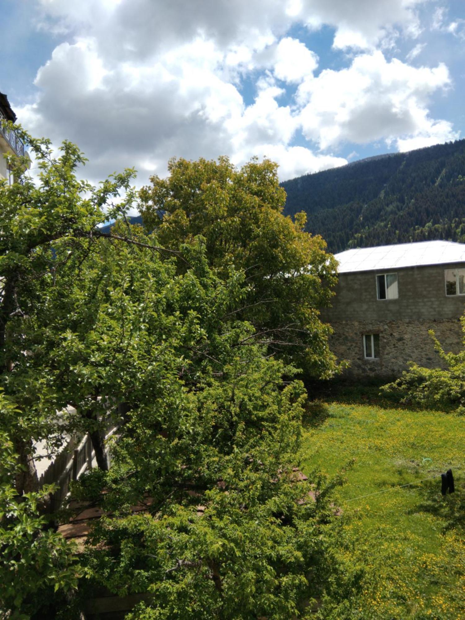 New Seti Guest House Mestia Exterior photo